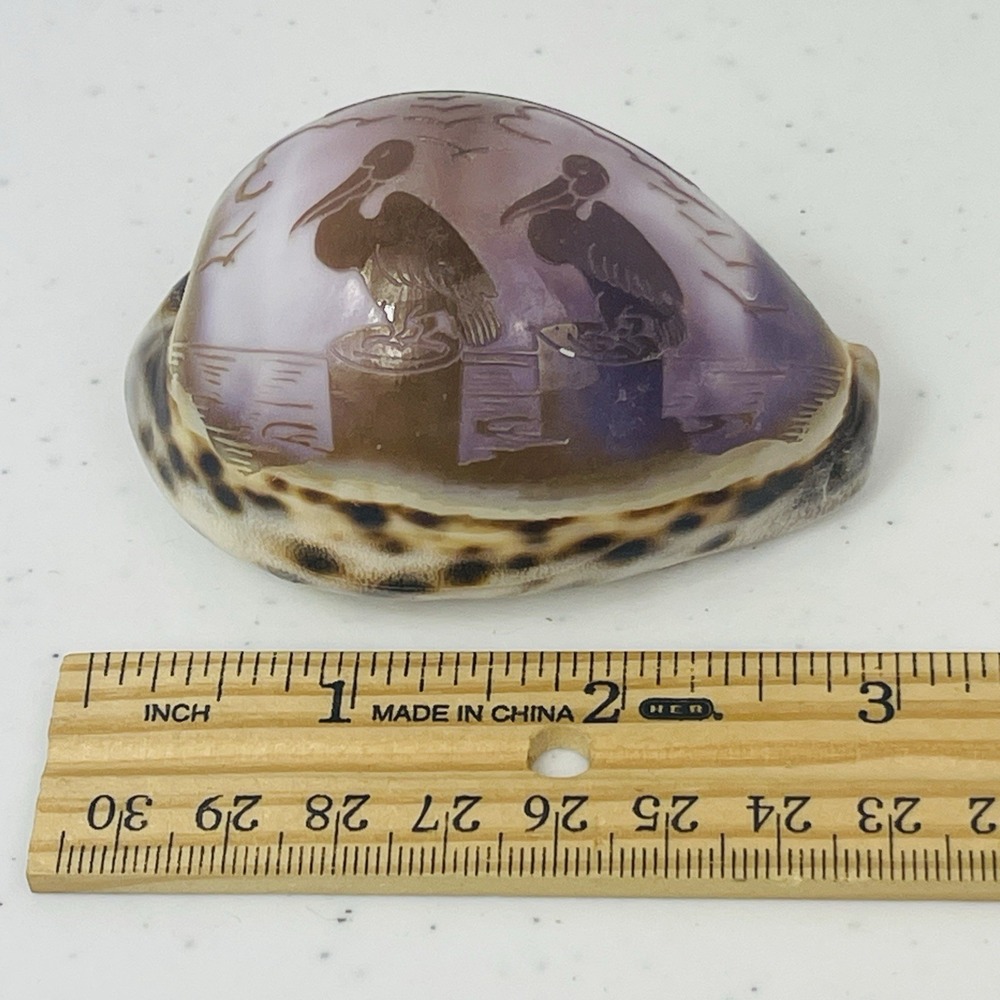 Vintage Seal Key Largo Souvenir Carved Tiger Cowrie Shell - Picture 3 of 12
